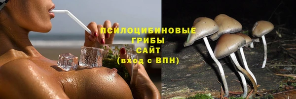 Альфа ПВП Нефтекумск