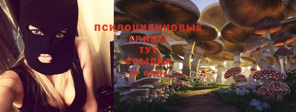 Альфа ПВП Нефтекумск