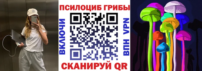 Псилоцибиновые грибы MAGIC MUSHROOMS  MEGA tor  Красновишерск 